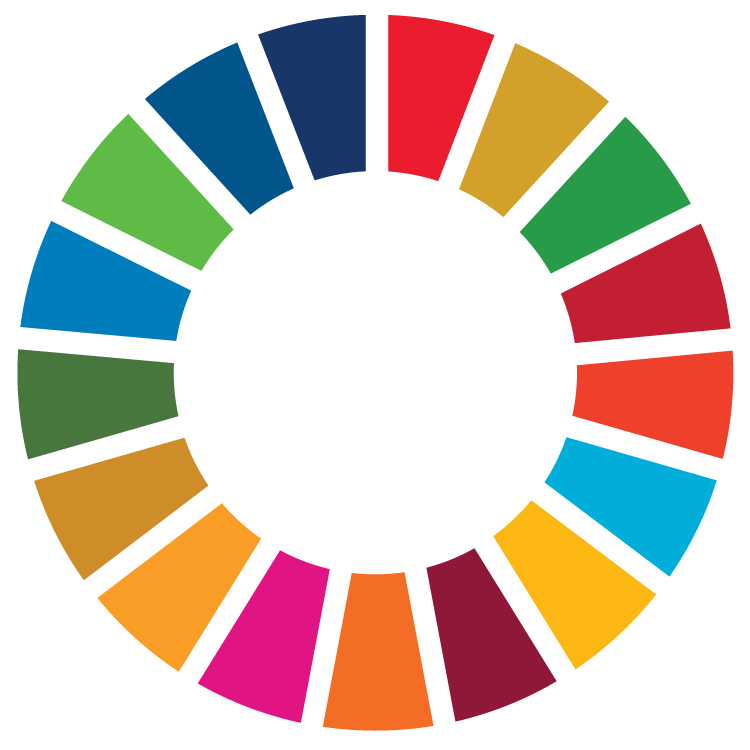 SDG Wheel